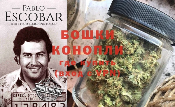 ПСИЛОЦИБИНОВЫЕ ГРИБЫ Лиски