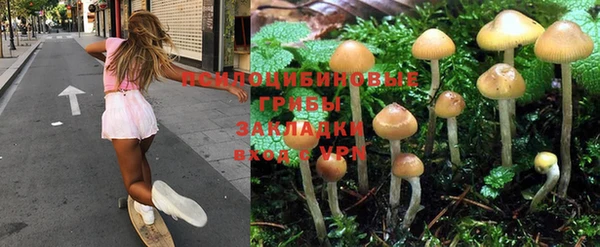 ПСИЛОЦИБИНОВЫЕ ГРИБЫ Лиски