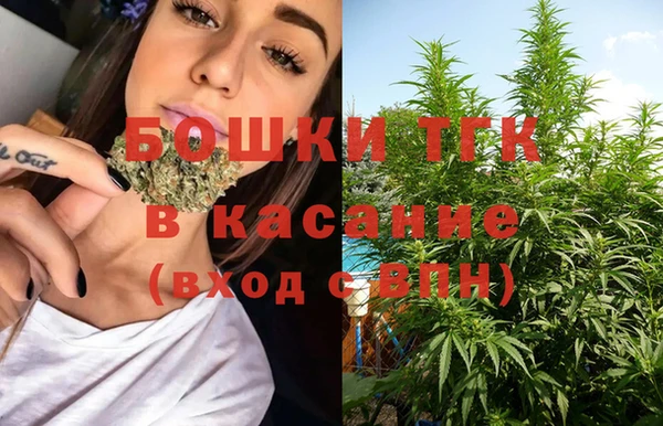 прущие крисы Верея