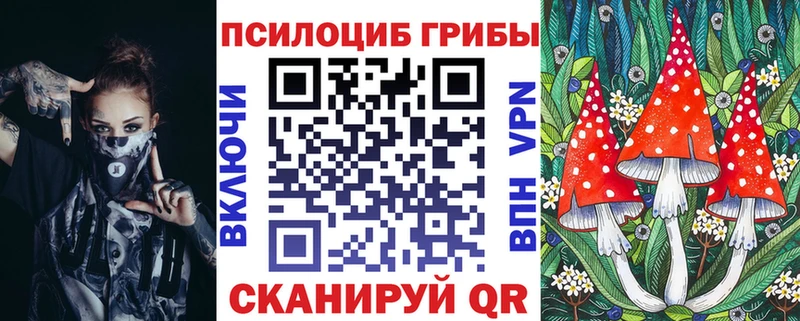 закладка  Чекалин  Псилоцибиновые грибы GOLDEN TEACHER 
